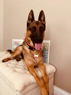 Lucy